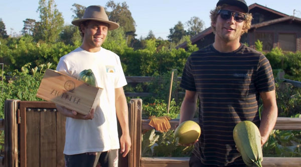 Coffin Bros @ the garden